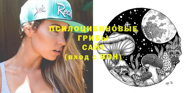 спайс Абаза