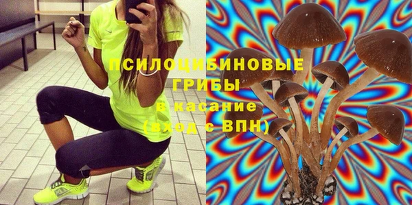 спайс Абаза