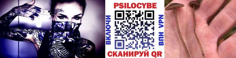 Галлюциногенные грибы MAGIC MUSHROOMS  mega ссылка  Южа 